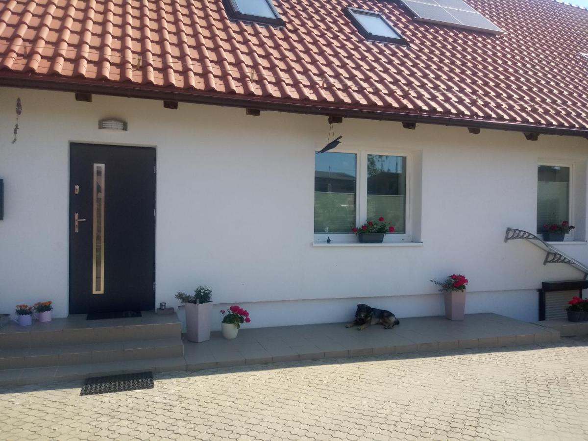 Mieszkanie Nad Jeziorem Olsztyn